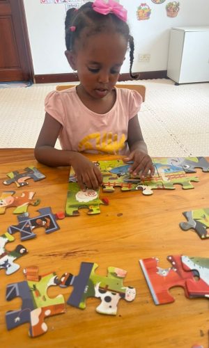 Wonderwell - Child putting a puzzle together